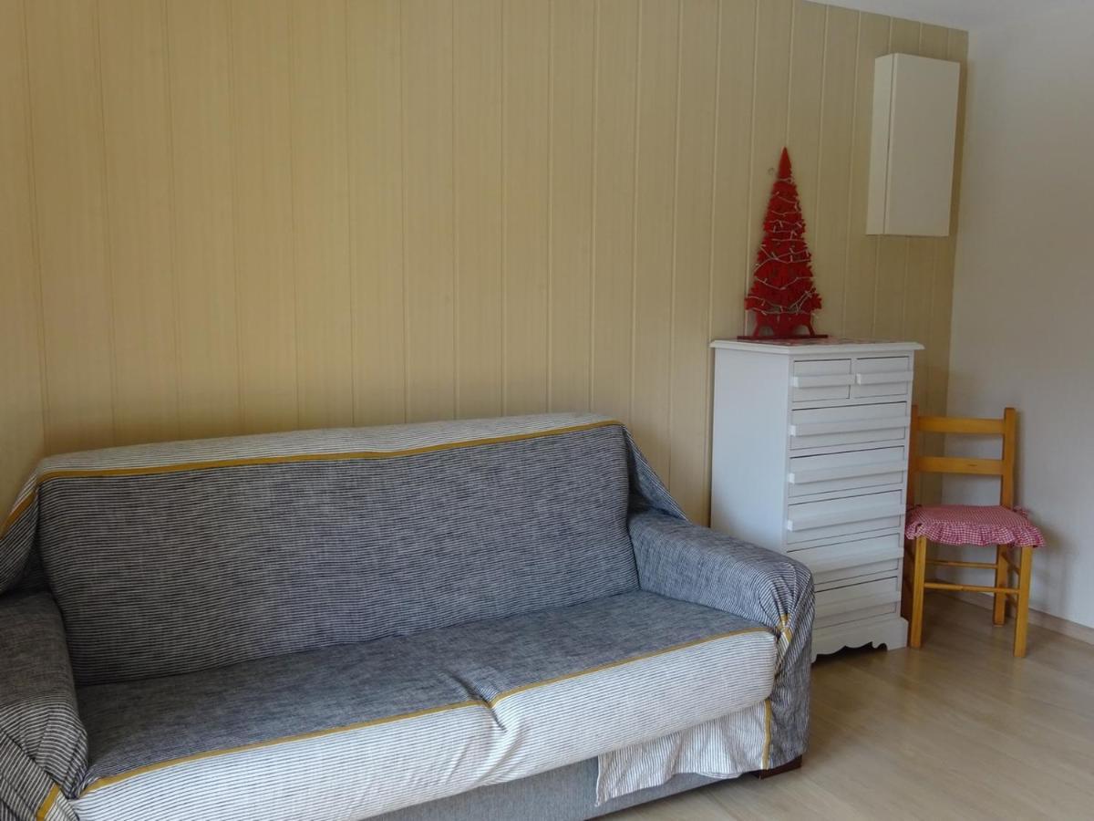 Bienvenue Au Lioran Apartment เลอ โลร็อง ภายนอก รูปภาพ